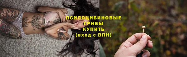 дурь Кулебаки