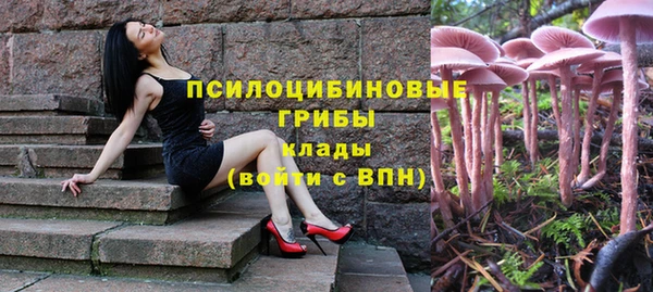 ПСИЛОЦИБИНОВЫЕ ГРИБЫ Кукмор